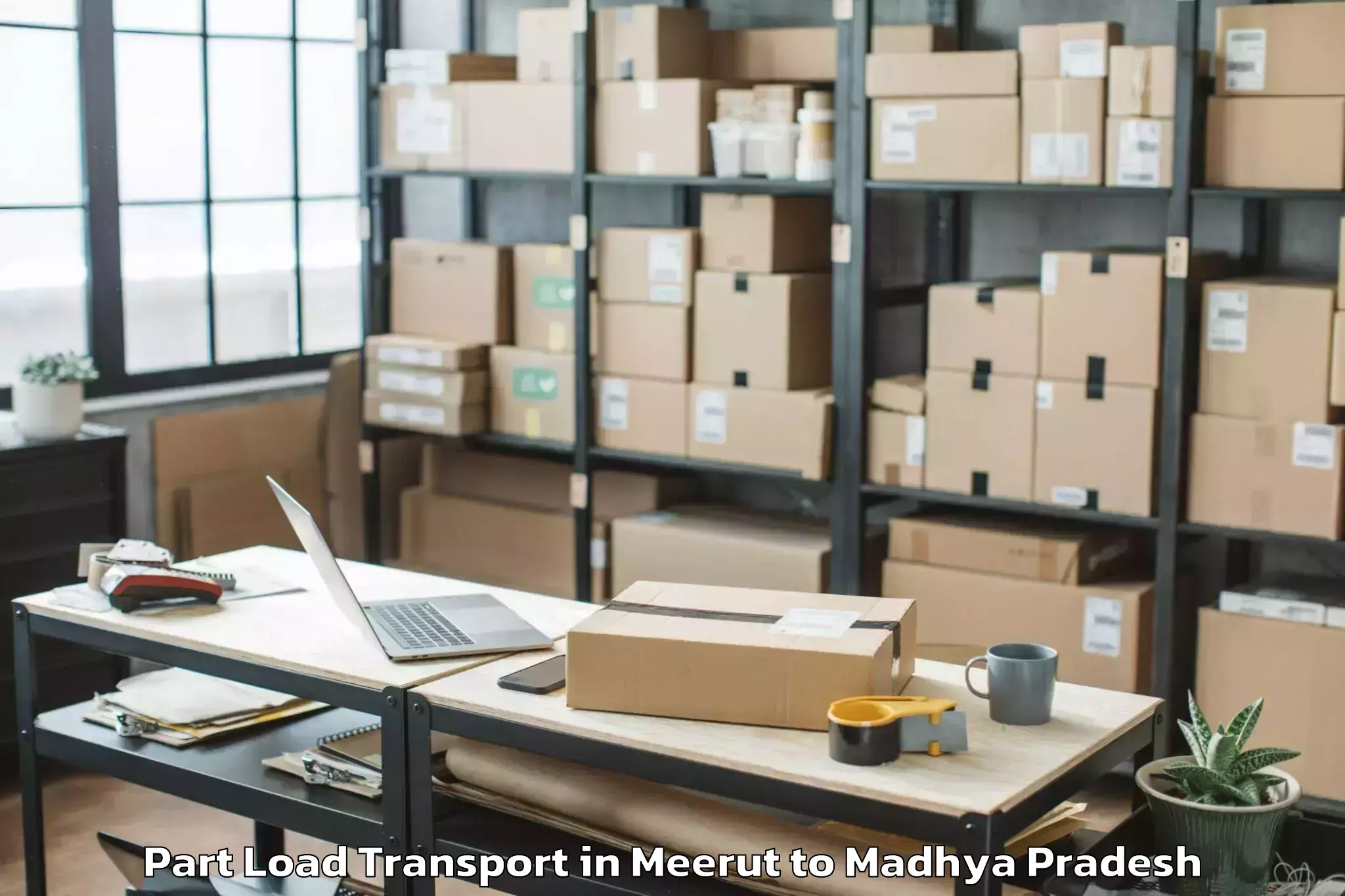 Professional Meerut to Malthon Part Load Transport